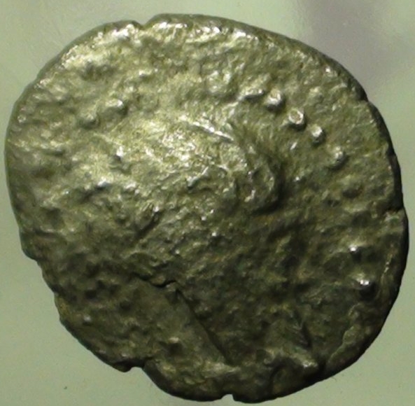 Newjaro2012 2013_01_07b.jpg